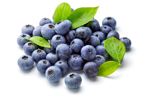 blueberry是什么意思