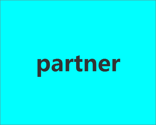 partner是什么意思,partner是什么