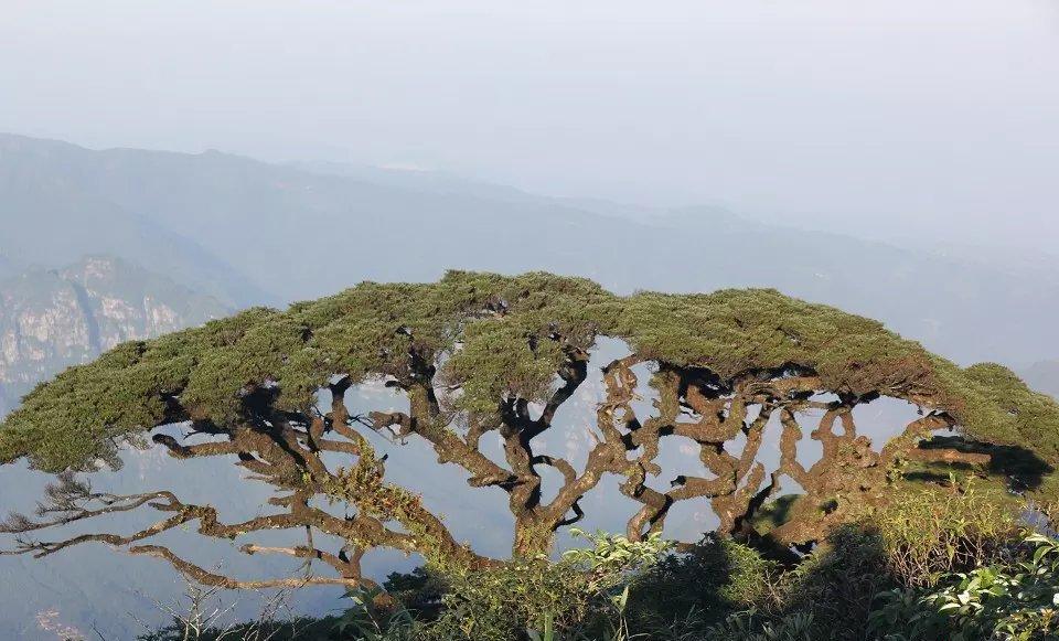 傲然的意思